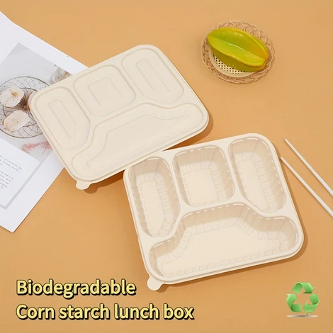 eco friendly lunch box